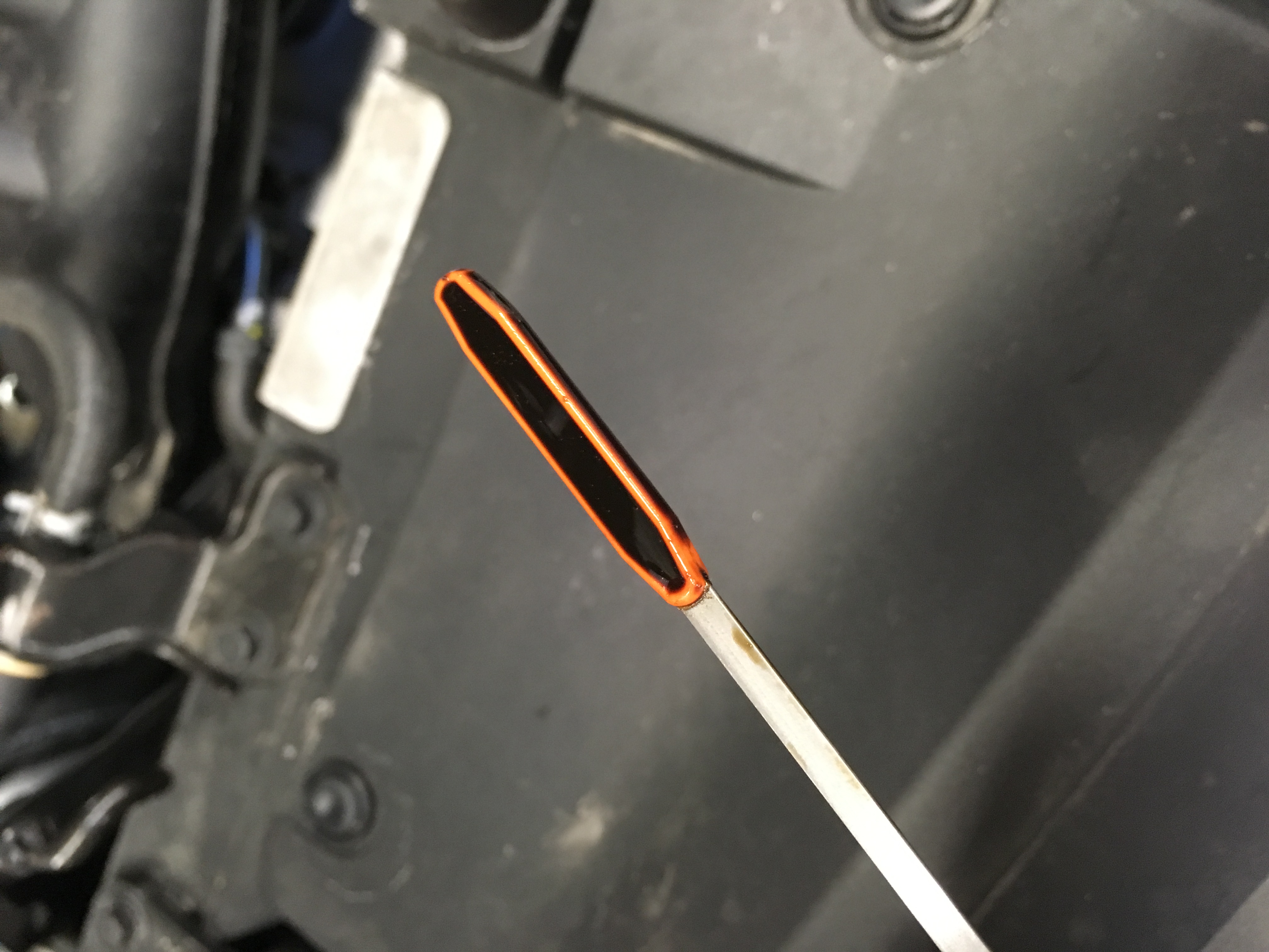 Dirty Oil Dipstick