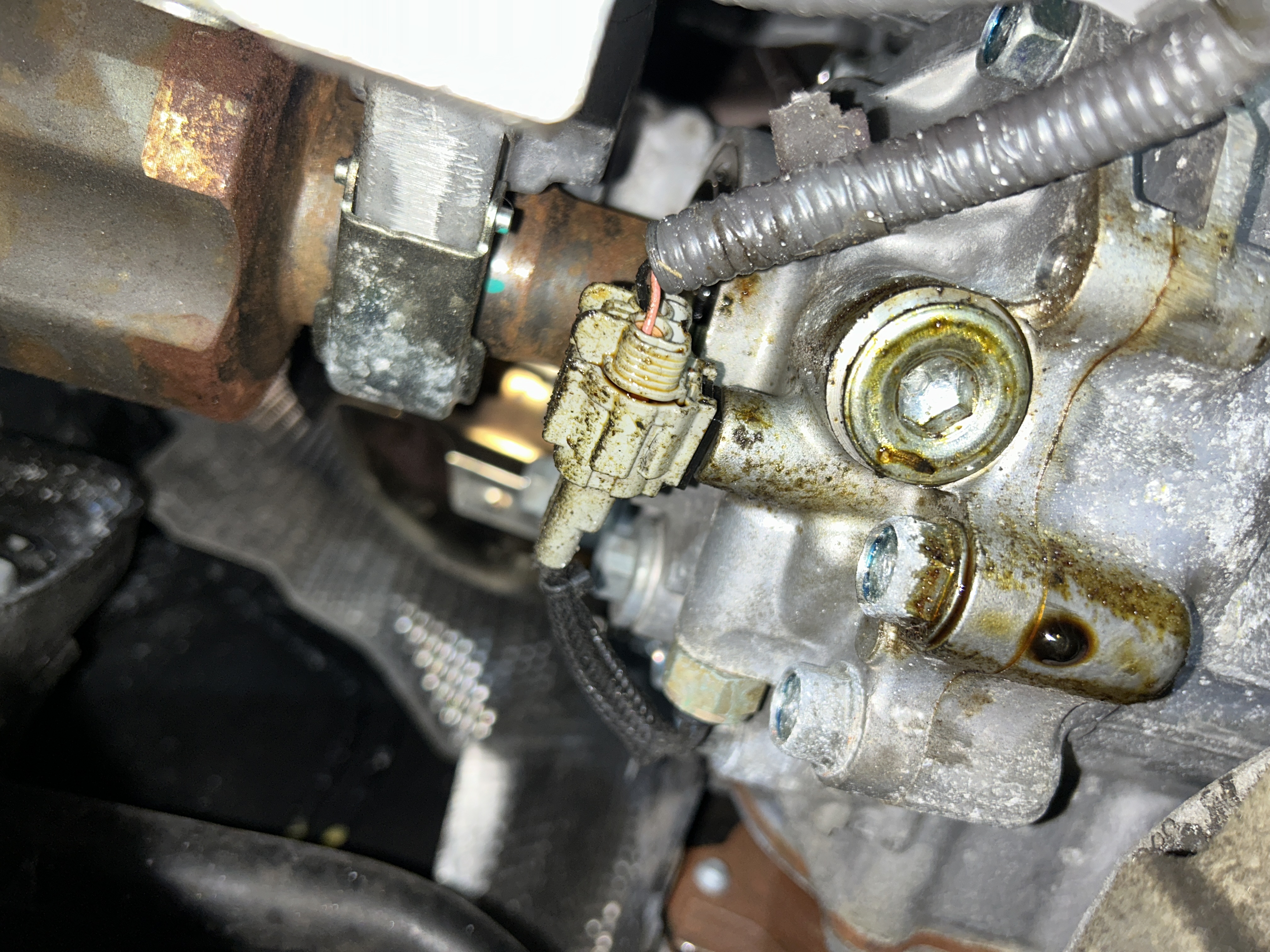 Leaking Axle Seal