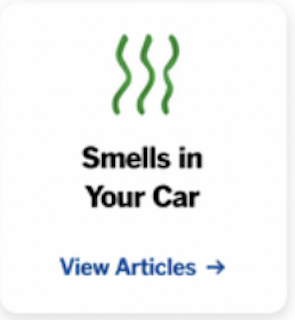 Smell in car icon 2