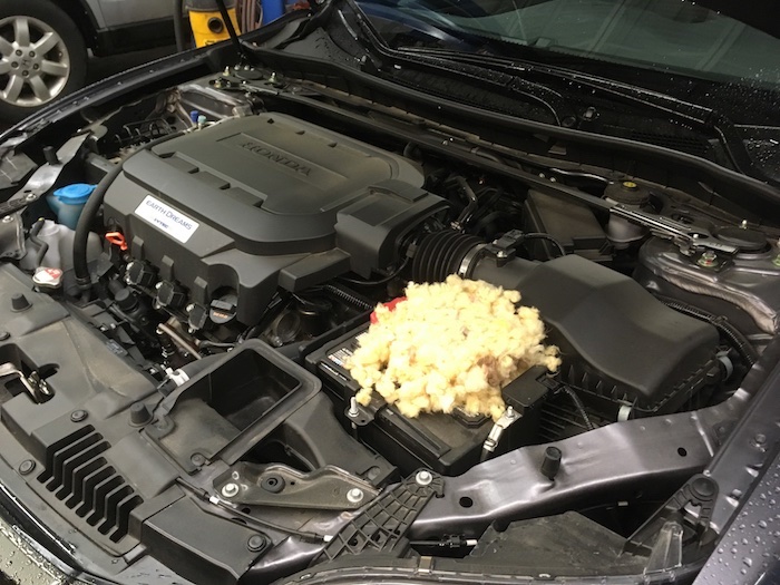 Mouse nest on battery